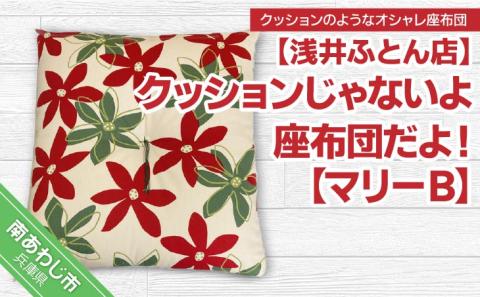 クッションじゃないよ座布団だよ！【マリーＢ】