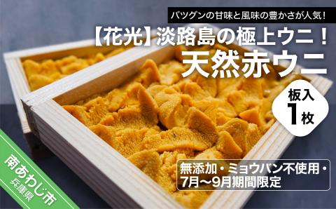 【花光】淡路島の極上ウニ！天然赤ウニ（板入1枚）【無添加・ミョウバン不使用・7月～9月期間限定】