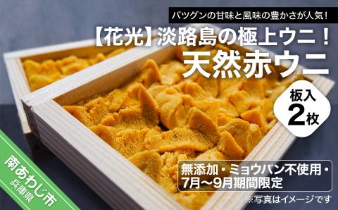 【花光】淡路島の極上ウニ！天然赤ウニ（板入2枚）【無添加・ミョウバン不使用・7月～9月期間限定】
