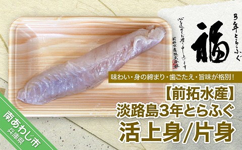 【冷蔵配送】淡路島3年とらふぐ（活上身/片身）◆配送10月25日～3月31日