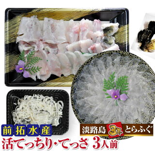 【冷蔵配送】淡路島3年とらふぐ（活てっちり・てっさ3人前）◆配送期間10月25日～3月31日