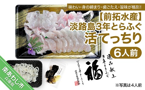 【冷蔵配送】淡路島3年とらふぐ（活てっちり6人前）◆配送期間10月25日～3月31日