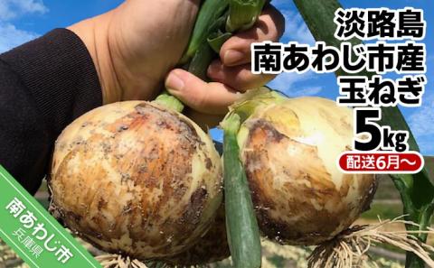【しょうちゃんFARM】　淡路島　南あわじ市産玉ねぎ 5ｋｇ　◆配送6月～