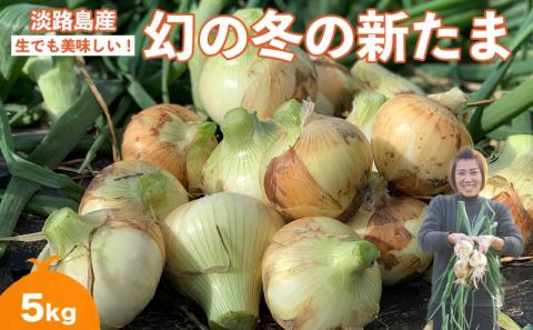 【野口ファーム】幻の冬の新たまねぎ 5kg　約15個入　◆配送12月～