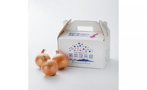 淡路島たまねぎ　10kg箱