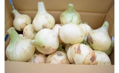 【美菜恋来屋】【新玉ねぎ】淡路島たまねぎ　3kg