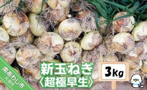 新玉ねぎ　淡路島　南あわじ市　3ｋｇ　超極早生【配送１月下旬～３月下旬】