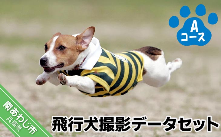 Aコース　飛行犬撮影データセット