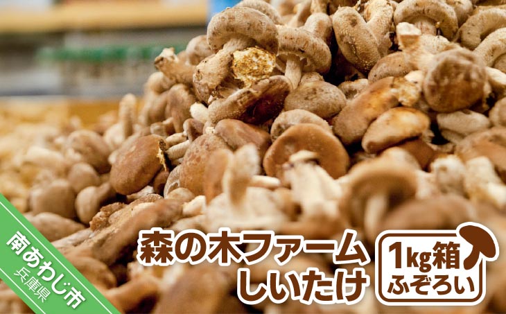 農薬・化学肥は不使用】森の木ファームしいたけ（1キロ箱）ふぞろい
