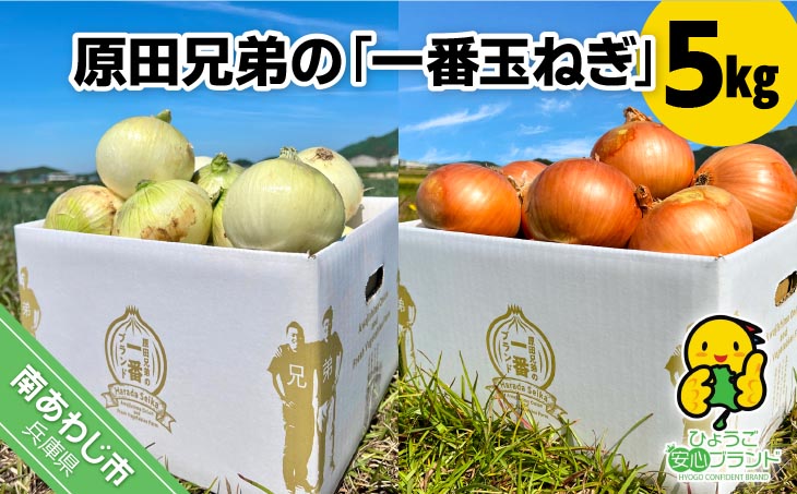 原田兄弟の一番玉ねぎ ５kg