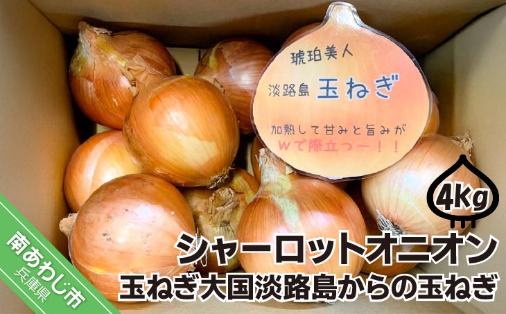 淡路島極熟玉葱4kg　シャーロットオニオン　玉ねぎ大国淡路島からの玉ねぎ