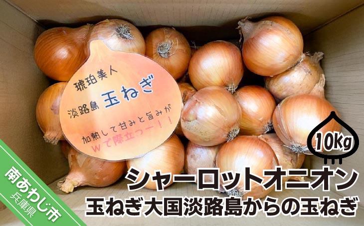 淡路島極熟玉葱10kg　シャーロットオニオン　玉ねぎ大国淡路島からの玉ねぎ