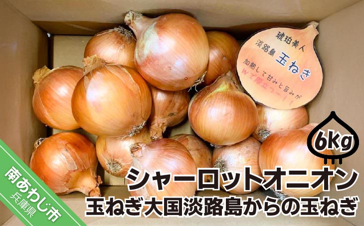 淡路島極熟玉葱6kg　シャーロットオニオン　玉ねぎ大国淡路島からの玉ねぎ