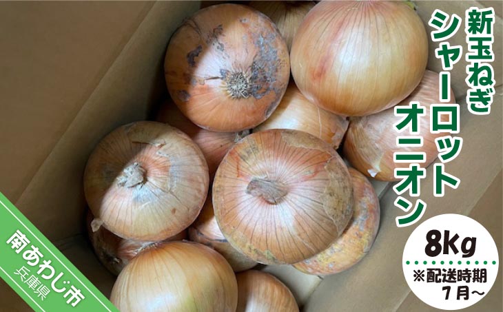 新玉ねぎ シャーロットオニオン 8kg　◆配送 7月上旬～9月末