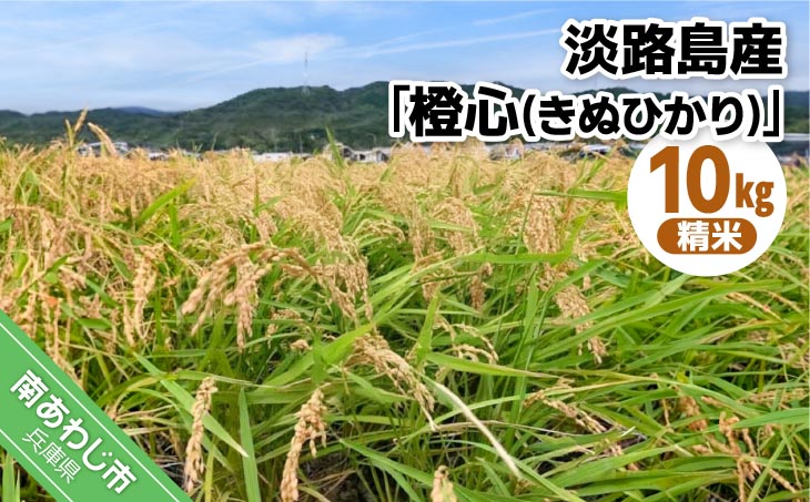 令和７年度産 新米 淡路島産「橙心(きぬひかり)」　精米10kg　◆配送9月末～