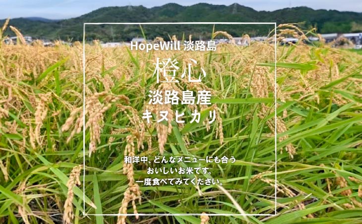 令和７年度産 新米 淡路島産「橙心(きぬひかり)」　玄米10kg　◆配送9月下旬～
