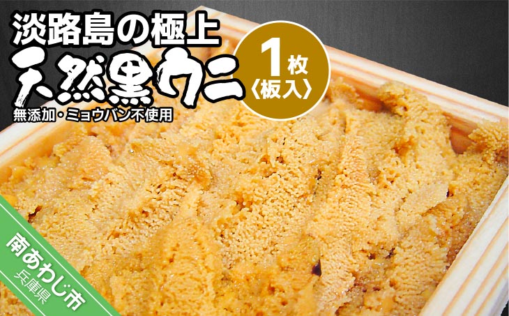 ★予約受付★【花光】淡路島の極上ウニ！天然黒ウニ（板入１枚）【無添加・ミョウバン不使用・期間/数量限定】◆３月中旬以降発送開始