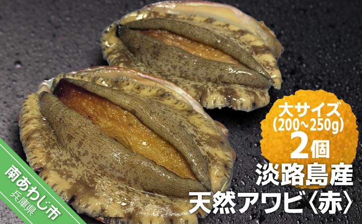 【花光】淡路島産天然アワビ（赤）大サイズ2個