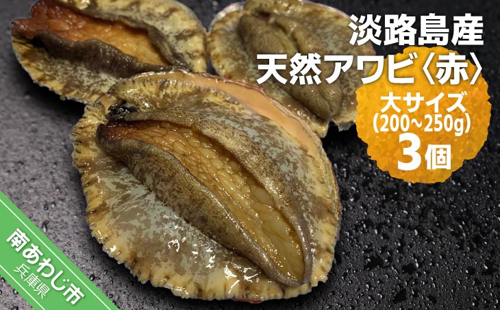 【花光】淡路島産天然アワビ（赤）大サイズ3個