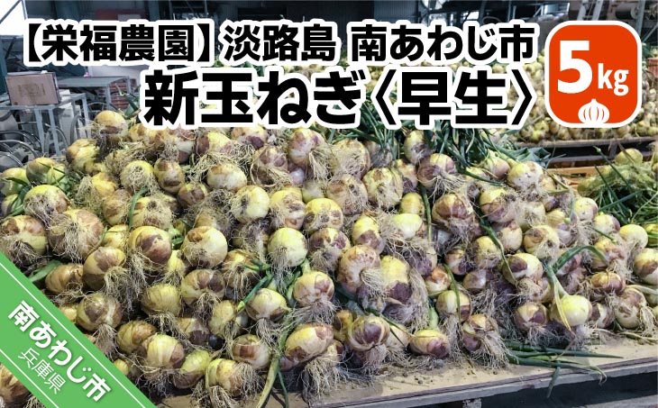 新玉ねぎ　淡路島　南あわじ市　5ｋｇ　早生　◆配送4月下旬～5月下旬