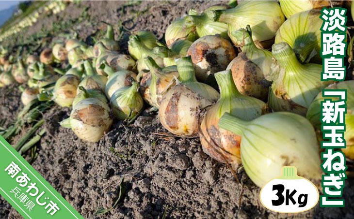 淡路島 「新玉ねぎ」3キロ　期間限定！