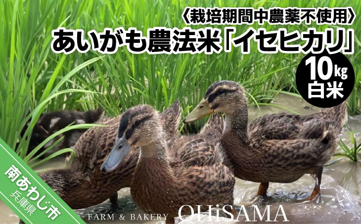 令和7年産　イセヒカリ　10kg（5kg×2）　白米〈栽培期間中農薬不使用　あいがも農法米〉