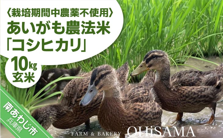 令和7年産　コシヒカリ　10Kg(5kg×2)　玄米　栽培期間中農薬不使用　あいがも農法米