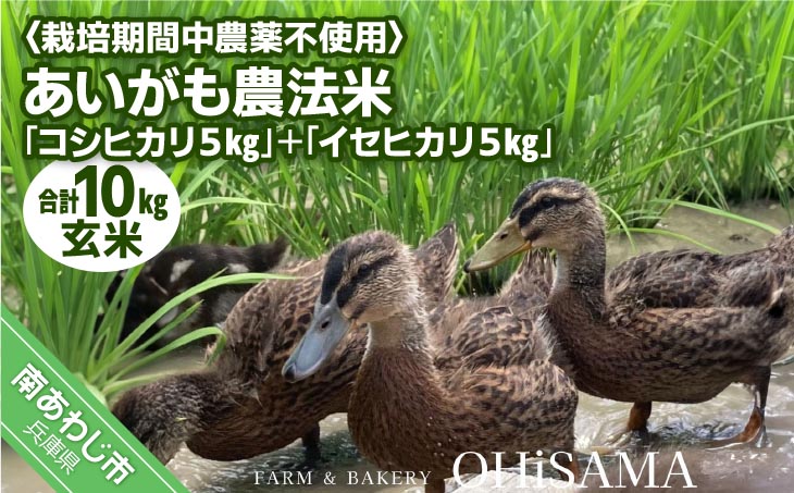 令和7年産　コシヒカリ５Kg＋イセヒカリ5Kg　玄米　栽培期間中農薬不使用　あいがも農法米