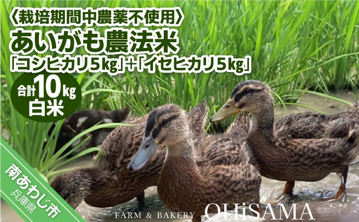 令和7年産　コシヒカリ５Kg＋イセヒカリ5Kg　白米　栽培期間中農薬不使用　あいがも農法米