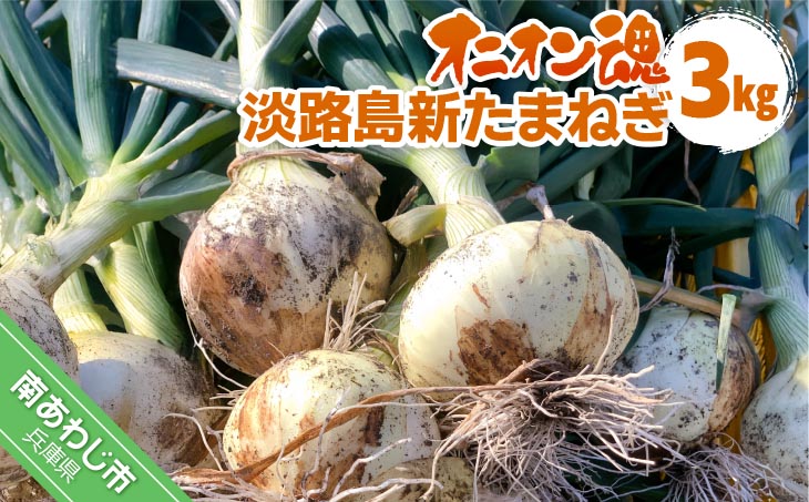 【オニオン魂】 淡路島新たまねぎ　3kg　◆配送３月上旬～