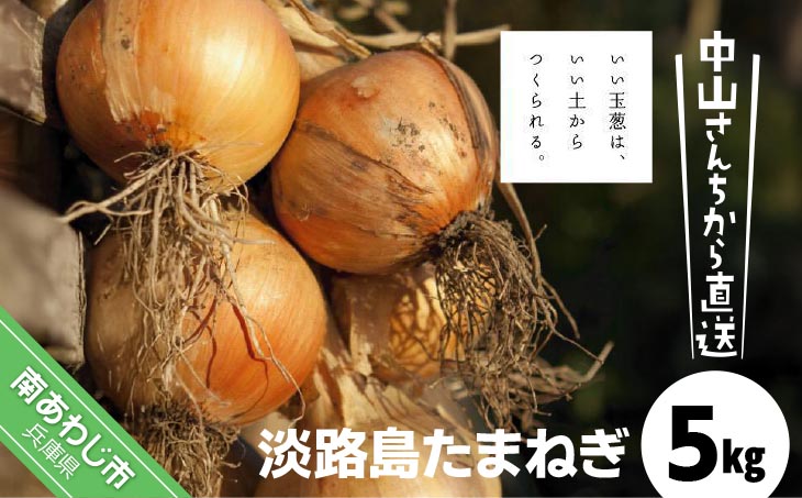 中山さんちから直送　淡路島たまねぎ５㎏