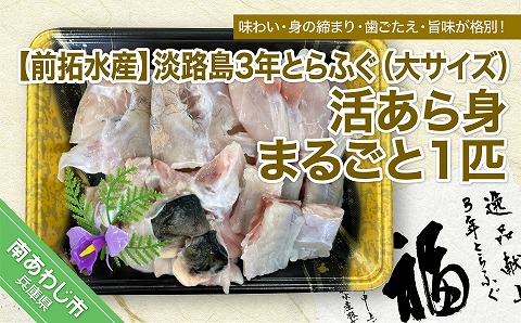 淡路島3年とらふぐ(大サイズ)活あら身まるごと1匹◆配送1月7日〜3月31日