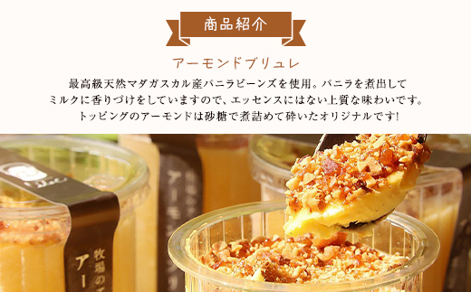 ジャージー牧場らいらっく アーモンドブリュレ9個セット AS2BB3