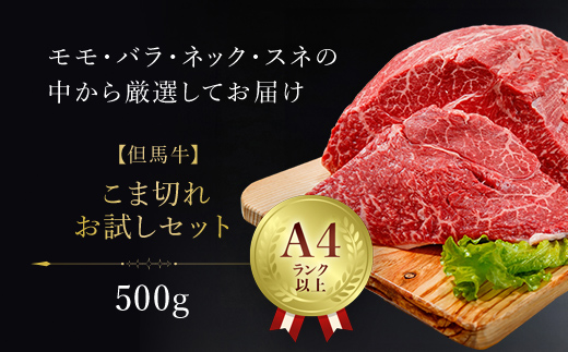 ＼数量限定／【但馬牛】こま切れお試しセット 500g AS1BB34