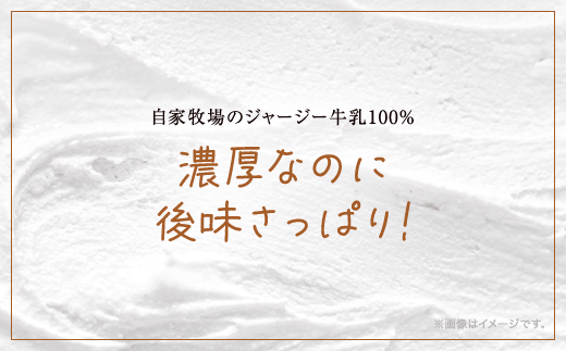 ジャージー牧場らいらっく　チーズケーキとジェラートセット AS2CB2