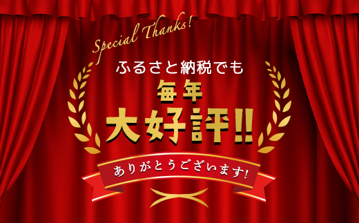 朝来市特産「岩津ねぎ」3kg（箱入り） AS4BC15