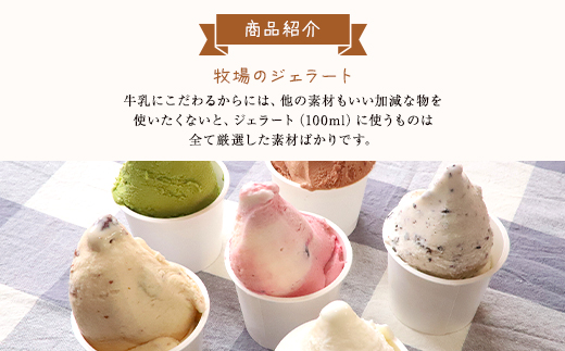 ジャージー牧場らいらっく ジェラートアイスセット（16個） AS1CB1