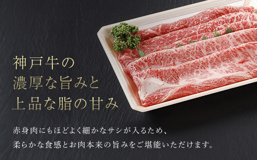 神戸牛 すき焼き 赤身 & 霜降り 特選セット 500g AS17C14 | 神戸牛 すき焼き すきやき 牛肉 神戸牛 すき焼き すきやき 牛肉 神戸牛 すき焼き すきやき 牛肉 神戸牛 すき焼き すきやき 牛肉 神戸牛 すき焼き すきやき 牛肉 神戸牛 すき焼き すきやき 牛肉 神戸牛 すき焼き すきやき 牛肉 神戸牛 すき焼き すきやき 牛肉 神戸牛 すき焼き すきやき