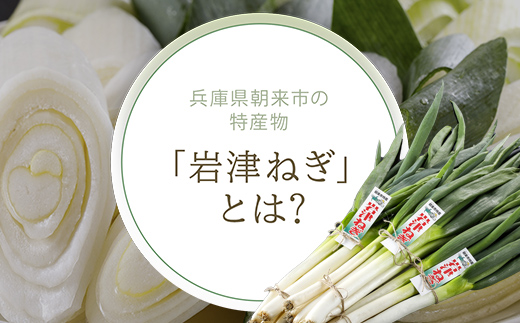 岩津ねぎラー油 【3個セット】 食べるラー油 ご当地 おすそ分け ピリ辛 ご飯のお供 ごま油 道の駅 ネギラー油 辣油 万能調味料 リピーター続出 辛さマイルド アレンジ可能 ラーメン 餃子 冷や奴 ご当地グルメ 便利 AS1AD28