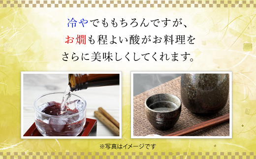 【日本酒】竹泉 どんとこい純米酒「鳶色（とびいろ）」Vintage　1800ｍｌ AS1BB13
