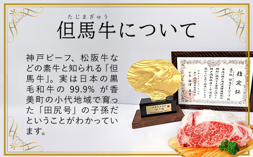 【但馬牛】特上切り落し300g×３パック(焼肉用) AS1DA3