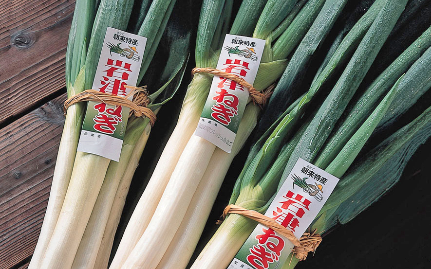 【朝来市ふるさと納税限定】 先行予約 岩津ねぎのキムチ 1箱150g AS2AA5-1