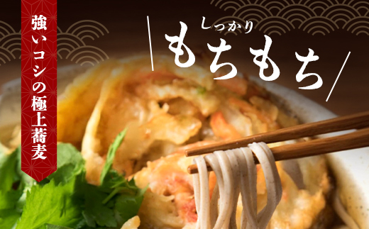 半生夜久野そば10人前セット【やくの麺業】 AS2B18