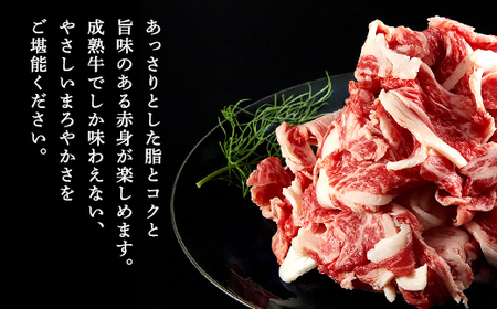 経産但馬牛訳あり 切落し肉 500g AS2BB17