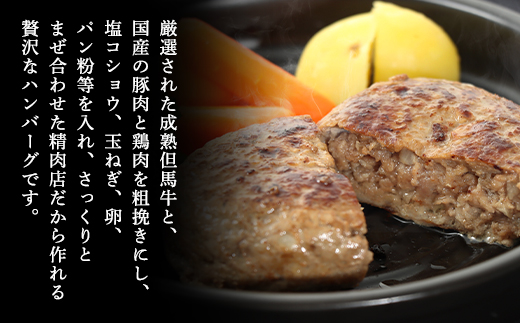 経産但馬牛ハンバーグ150g×10個 AS2CA13