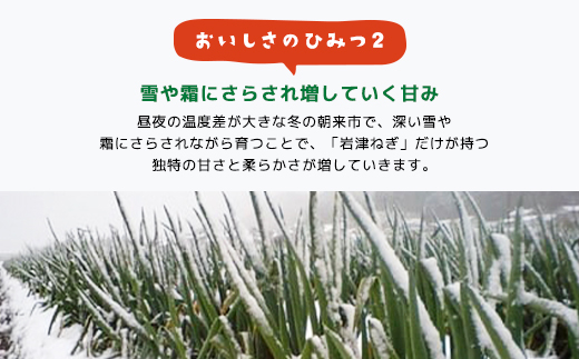 朝来市特産「岩津ねぎ」2kg（箱入り） AS4AC3