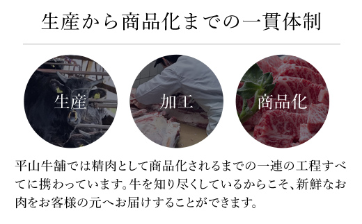神戸牛 家庭用小間切れ600g（300ｇ×2P）AS17BB46 | 神戸牛 小間切れ