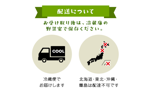 ＼数量限定／ 坪井農園の厳選！こだわりトマト（12～15個入り） 期間限定 限定 トマト とまと 期間限定 人気 桃太郎 桃太郎トマト 桃太郎トマト 美味しい おいしい 夏野菜 野菜 兵庫県 朝来市 AS2BB4