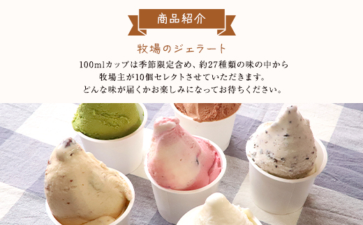 ジャージー牧場らいらっく　チーズケーキとジェラートセット AS2CB2