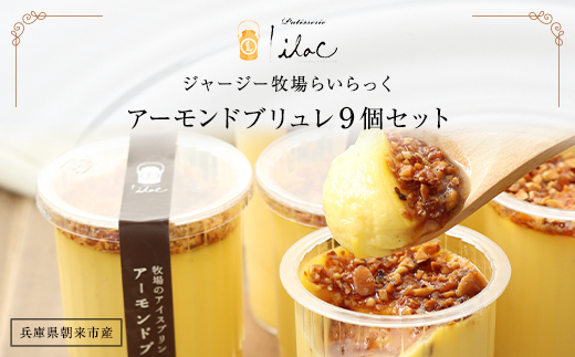 ジャージー牧場らいらっく アーモンドブリュレ9個セット AS2BB3
